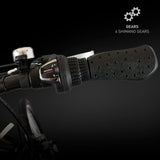 Zinc Folding Electric Eco Pro Bike